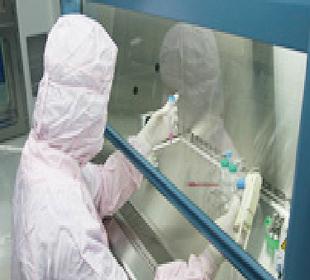 세포 분리 공정