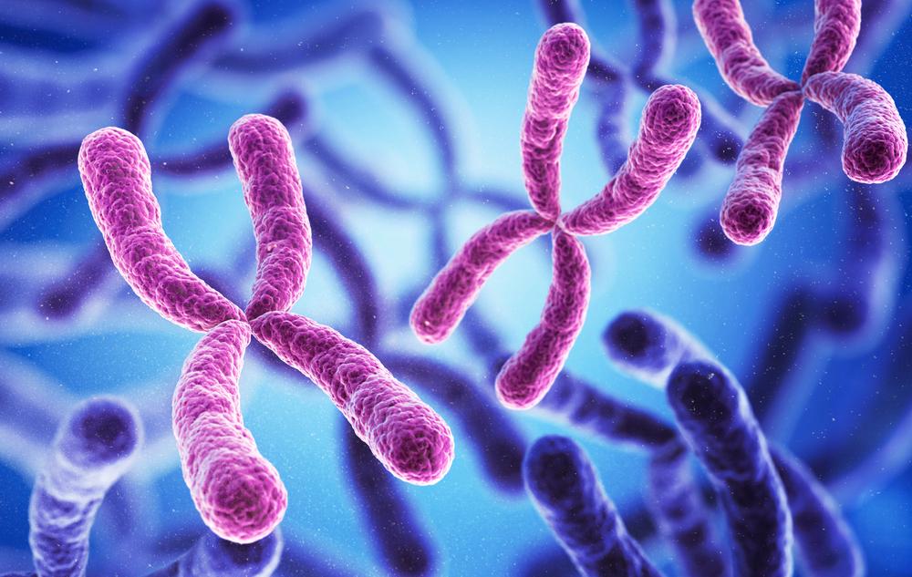 Stem Cell Therapy